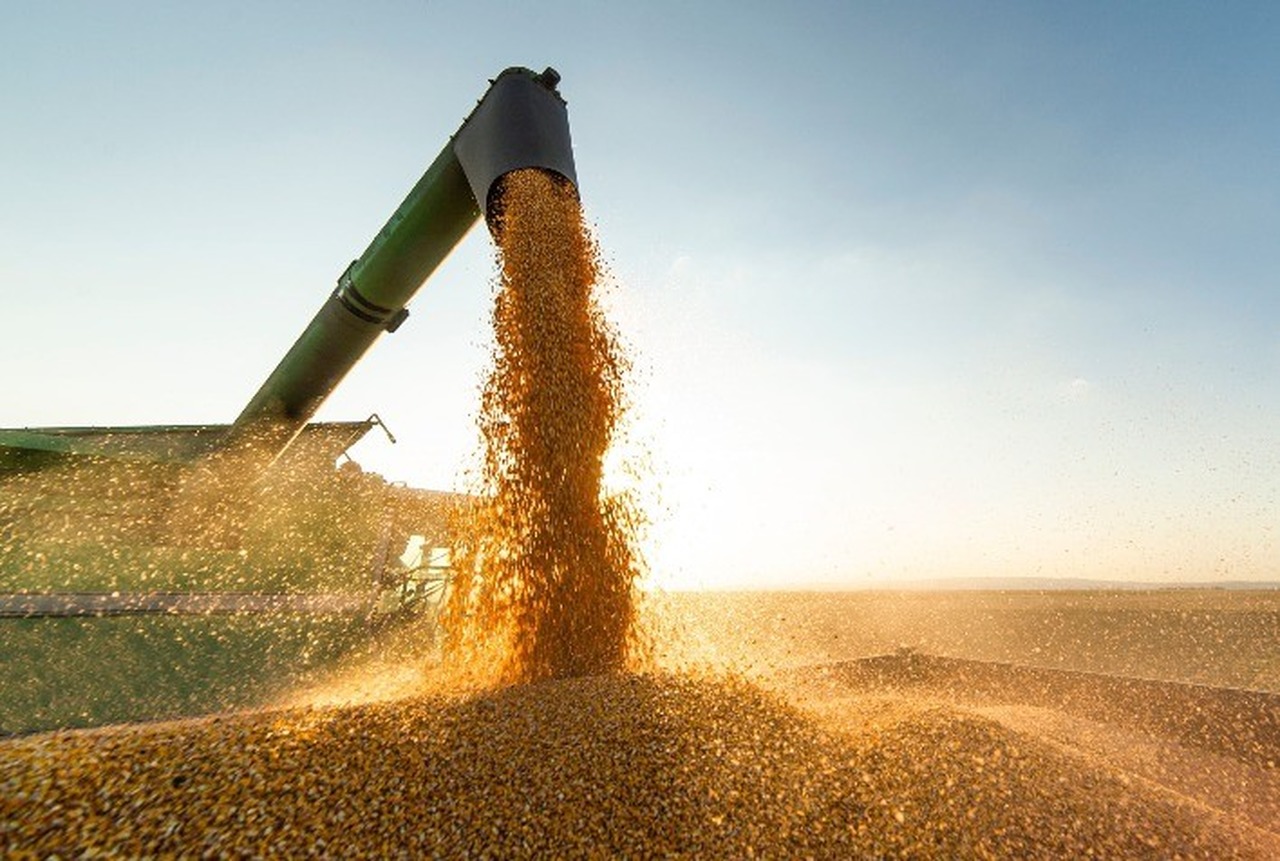 Proposta de taxação do agro no PR entenda a conta que todo mundo vai