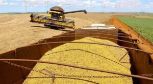 Alta de 15,7%, agropecuária reduz impacto da pandemia sobre o PIB