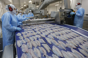 Paraná é o maior produtor de peixes do Brasil
