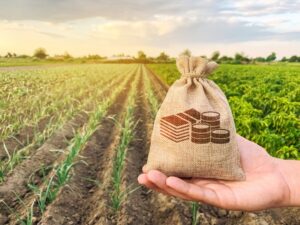 Produção coberta com seguro é de R$ 55,4 bilhões