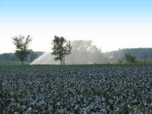 Crédito rural: projeto cria nova linha para pequenos e médios produtores