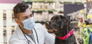 Cães e gatos não transmitem o coronavírus a humanos