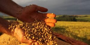 Produtor pode se candidatar a programas estadual e federal para o Seguro Rural