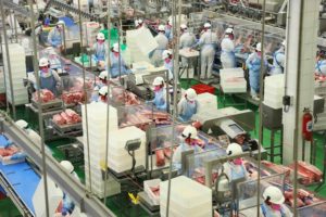 Paraná amplia produção e protagonismo na cadeia de carnes em 2020