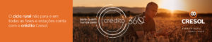 Cresol – Banner Full