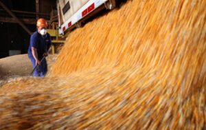 Portos paranaenses movimentam 57,3 milhões de ton.