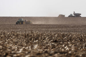 Paraná solicita que zoneamento agrícola do milho seja alterado