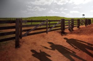 Casos de violência no campo voltam a causar preocupação
