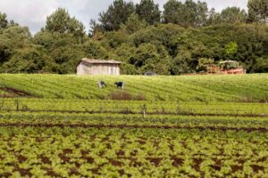 Paraná precisa regularizar 120 mil pequenas propriedades