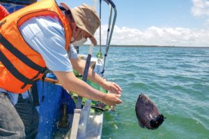 Pescadores ajudam Itaipu a monitorar peixes no rio Paraná