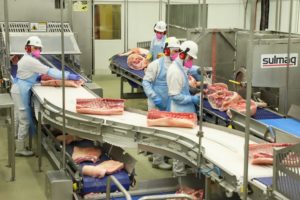 Abates de frangos e suínos crescem; de bovinos têm queda, aponta IBGE