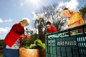 Plano Paraná Cooperativo projeta R$ 200 bilhões de faturamento