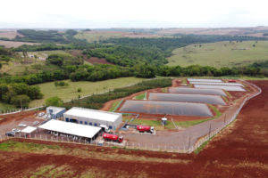 Paraná defende políticas unificadas de iniciativas sustentáveis na agropecuária