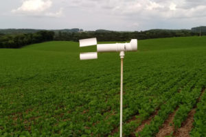 Monitoramento da safra 20/21 encerra com baixa pressão da ferrugem asiática