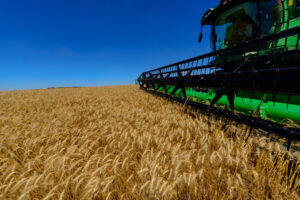 PIB cai 4,1% em 2020 / Agropecuária sobe 2% – IBGE