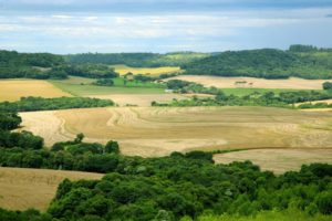 IAT tem 3 meses para mostrar plano para regularizar as compensações ambientais