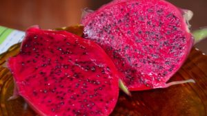 Cultivo de pitayas é nova aposta de produtores paranaenses