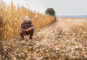 Garantia-Safra socorre 13 mil agricultores familiares de sete estados