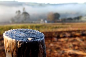 O que esperar do inverno para a agricultura?