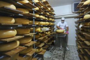Lácteos começam a esboçar reação em março