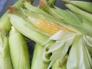 Mercado do milho segue com preços firmes no Brasil