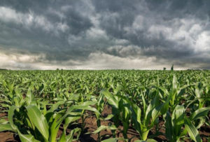 Veja qual a influência da La Niña para os próximos dias no Brasil