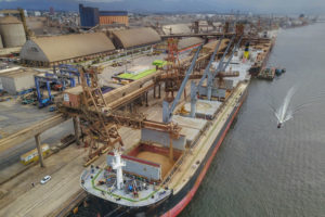 Embrapa: Brasil será maior exportador de grãos do mundo em cinco anos