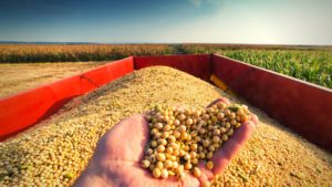 Brasil deve exportar recorde de 86,7 milhões de toneladas de soja em 2021
