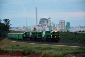Transporte ferroviário de celulose para exportação cresce 26%