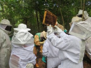 Curso de Apicultura é concluído por agricultores na Agrotec