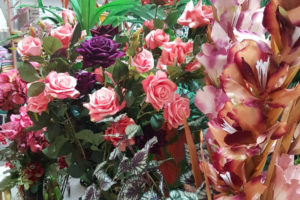 Produção de rosas também é uma atividade agrícola