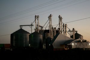 Oferta e demandas internacionais de grãos colocam mercado em alerta