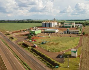 Cooperativa Primato deve alcançar o primeiro Bilhão de faturamento em 2021