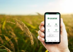 COCAMAR: Aplicativo ajuda o produtor a negociar safra