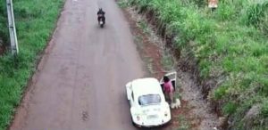 Casos de abandono de animais vão levar Castramóvel até o meio rural