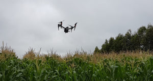 Drones fazem a diferença em operações anti-contrabando