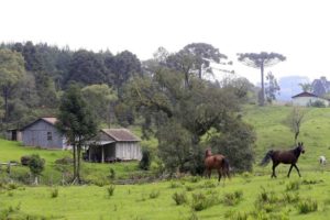 Paraná tem 486,8 mil propriedades no Cadastro Ambiental Rural