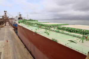 Porto de Paranaguá faz maior embarque de farelo de soja em único navio