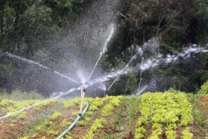 Isenção de ICMS a equipamentos de irrigação no Paraná