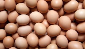 Roberto Kaefer considera “difícil” a abertura de mercado da Argentina a ovos estrangeiros