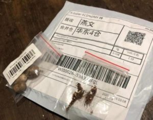 Sementes misteriosas da China voltam a ser recebidas no Paraná