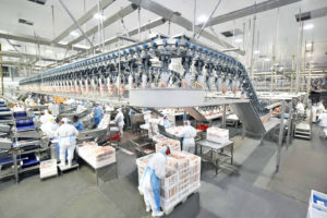 Cooperativas do Paraná geraram mais de 10 mil novos postos de trabalho em 2020