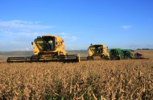 O que você precisa saber sobre o atual cenário do agronegócio