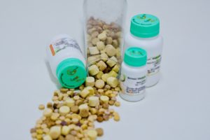Biscoito medicamentoso no lugar de comprimidos para tratar seu pet
