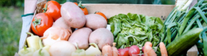Cozinhas Solidárias receberão alimentos produzidos via PAA