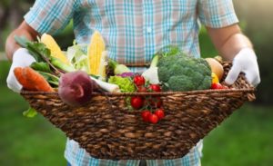Medidas emergenciais para socorrer a agricultura familiar