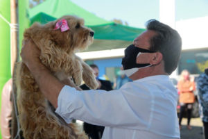CastraPet vai esterilizar 15 mil animais no Paraná