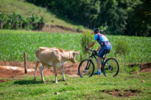 Cicloturismo evidencia atrativos paranaenses