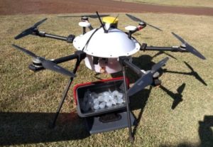Drone leva sêmen suíno até propriedade em Toledo