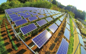 Energia solar: marco regulatório reduz custos no campo